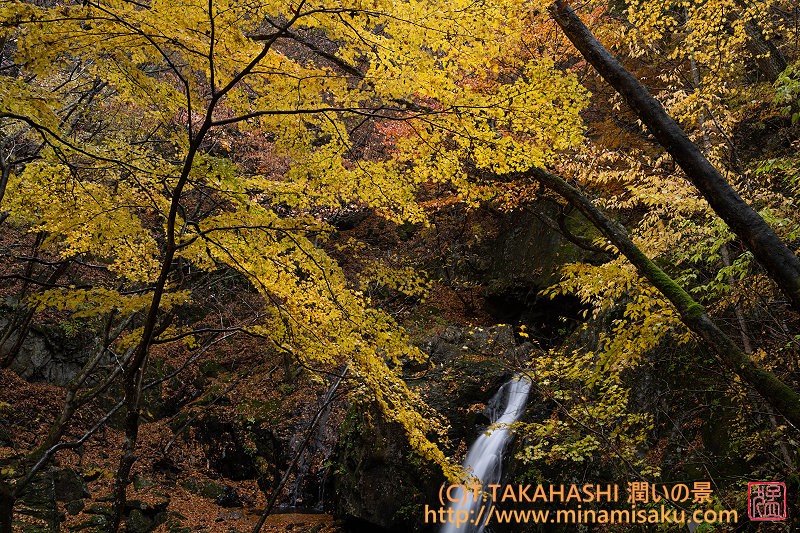 ../Images/7R251109 (148).jpg